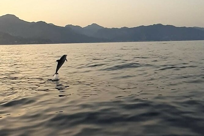 2.5 Hours Sunset Boat Tour in Search of Dolphins - Searching the Mediterranean for dolphins