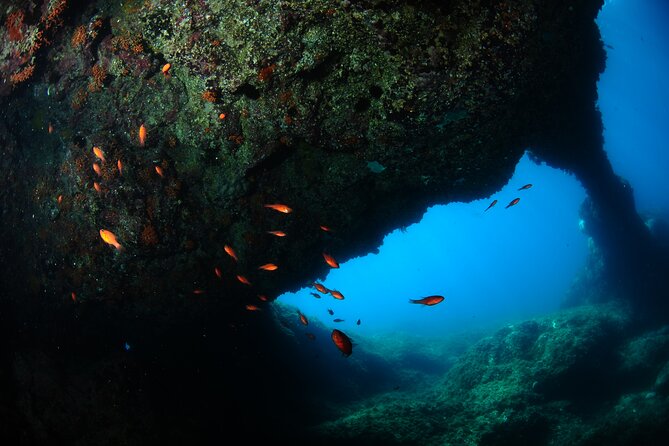 2 Dives from Diving Center (with full equipment) - What happens at Campeggio Jonio at 9:00 am