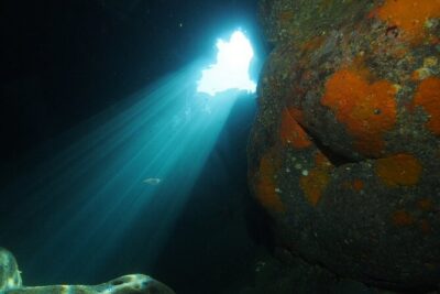 2 Dives from Diving Center (with full equipment)