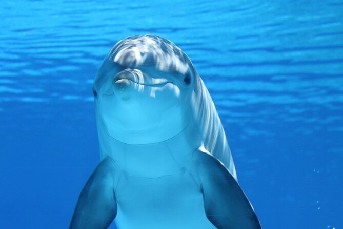 2-Hour Dolphin Sunset Tour from Giardini Naxos - Sunset over Giardini Naxos, with dolphins as the bonus