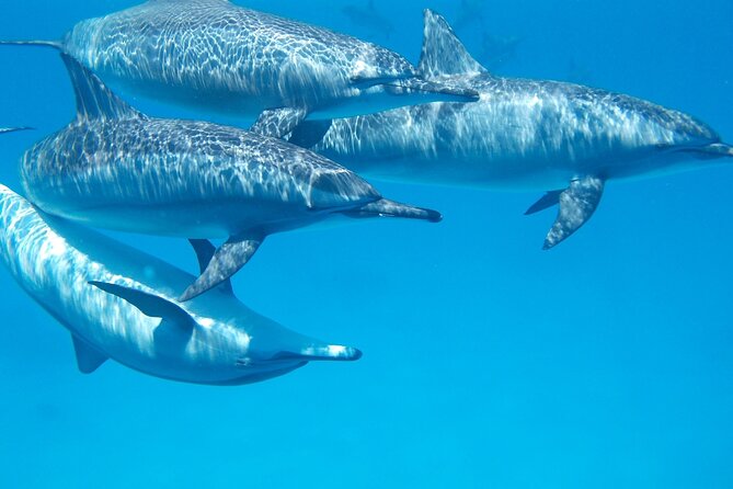 2-Hour Dolphin Sunset Tour from Giardini Naxos - The small boat is the main comfort question