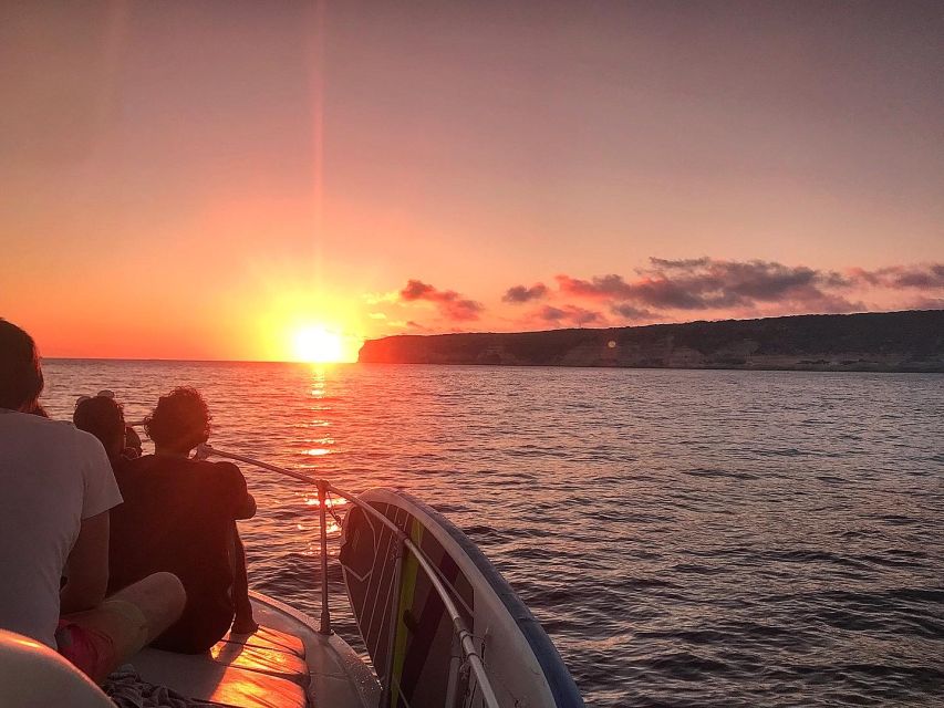 3-hour boat trip at sunset with the sighting Delfini - Key points to know before you book