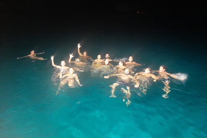 3-Hour Dolphin watching at sunset with aperitif - Why this three-hour sunset trip works