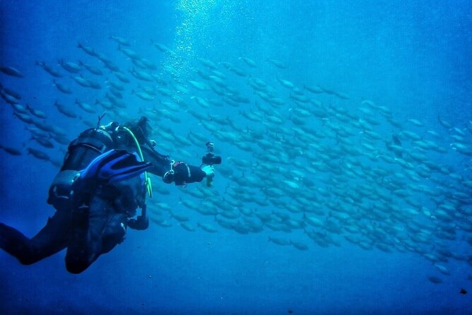 3-Hour Try Scuba Private Guided Sea Baptism from Palermo - The meeting point at Via Palermo