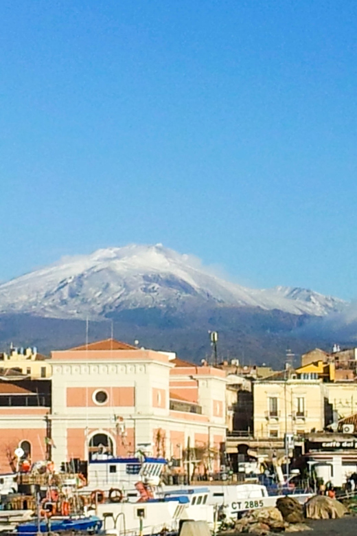 6-Hour Mount Etna Excursion - Monti Rossi and the 1669 eruption