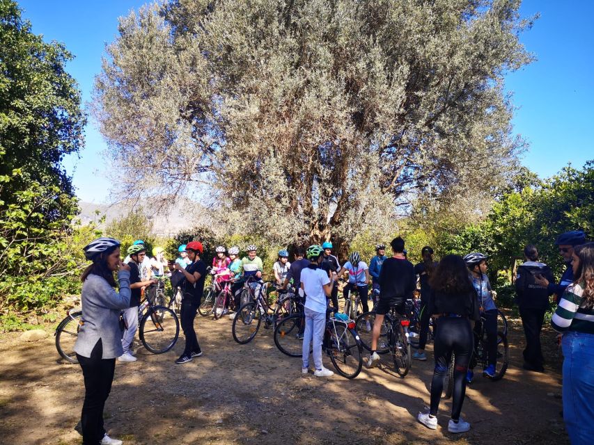 a PRIVATE ride of Favorita Park and Mondello - Inside the Palazzina Cinese