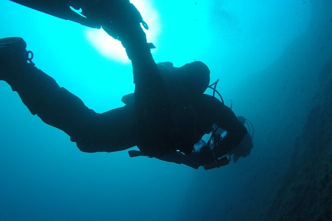 Aci Castello Immersioni per Subacquei Brevettati - Wrecks, canyons, and the ordinary Mediterranean seabed