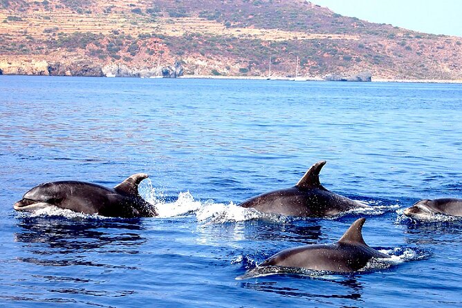 Aeolian Islands - Sailing week with skipper and assistant - Basiluzzo, Lisca Bianca, and Cala Junco