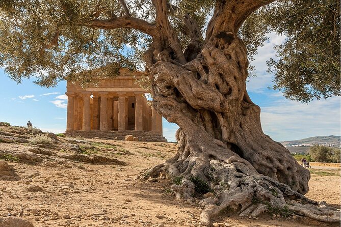 Agrigento to Siracusa with Valley of Temples and Roman Villa Trip - Who will enjoy this day most
