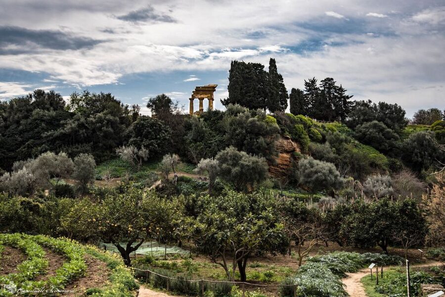 Agrigento Valley of the Temples and Kolymbethra Private Tour - Two hours among the Doric temples