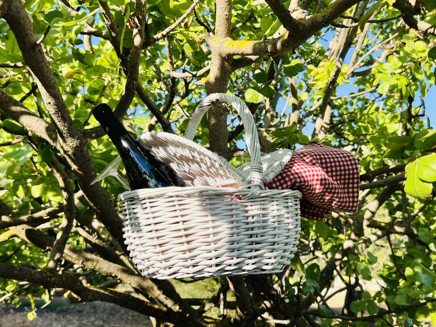 Agrigento: Valley of the Temples Gardens Picnic Experience - Key points to know