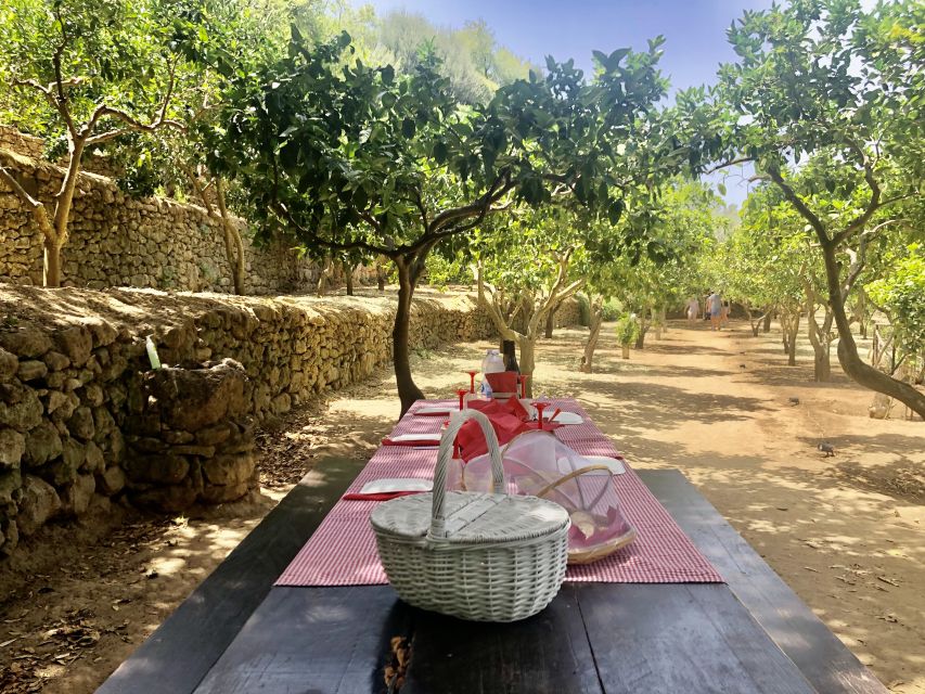 Agrigento: Valley of the Temples Gardens Picnic Experience - Practical tips before you book
