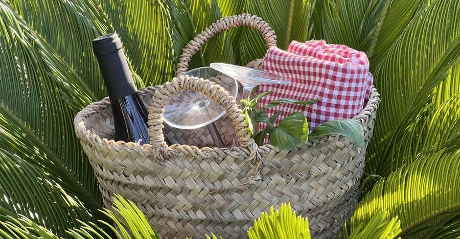Agrigento: Valley of the Temples Gardens Picnic Experience - Walking among orange trees and ancient hypogea