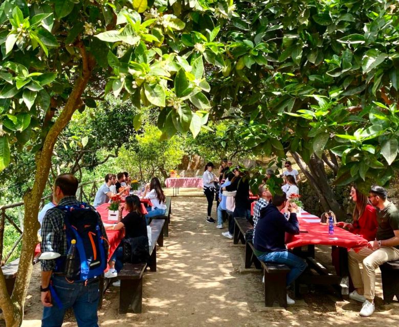 Agrigento: Valley of the Temples Gardens Picnic Experience - What arrives in the picnic basket