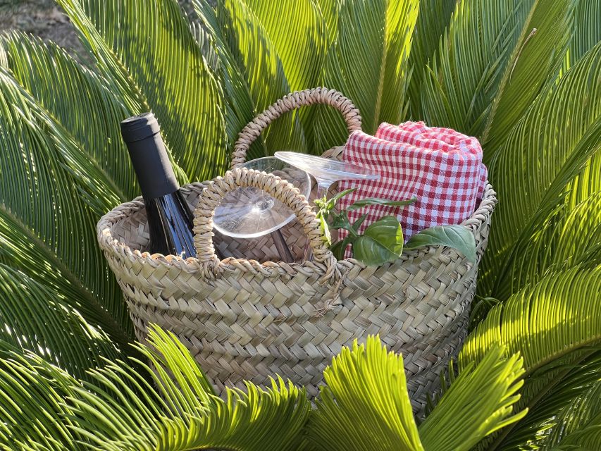 Agrigento: Valley of the Temples Gardens Picnic Experience - Lunch, aperitivo, or something in between