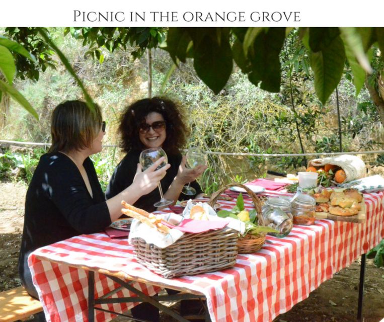 Agrigento: Valley of the Temples Gardens Picnic Experience - The shade, sound, and welcome