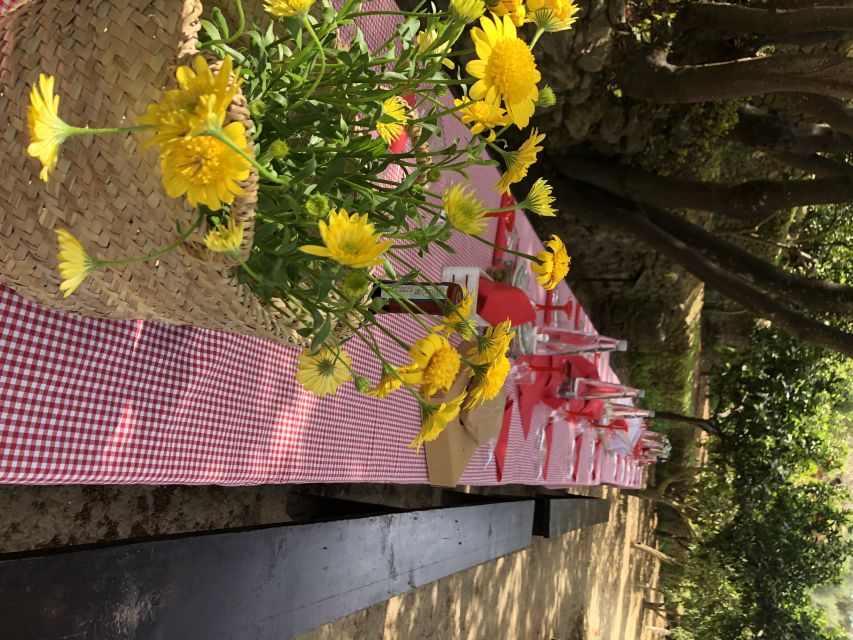 Agrigento: Valley of the Temples Gardens Picnic Experience - How the 1.5 hours works best