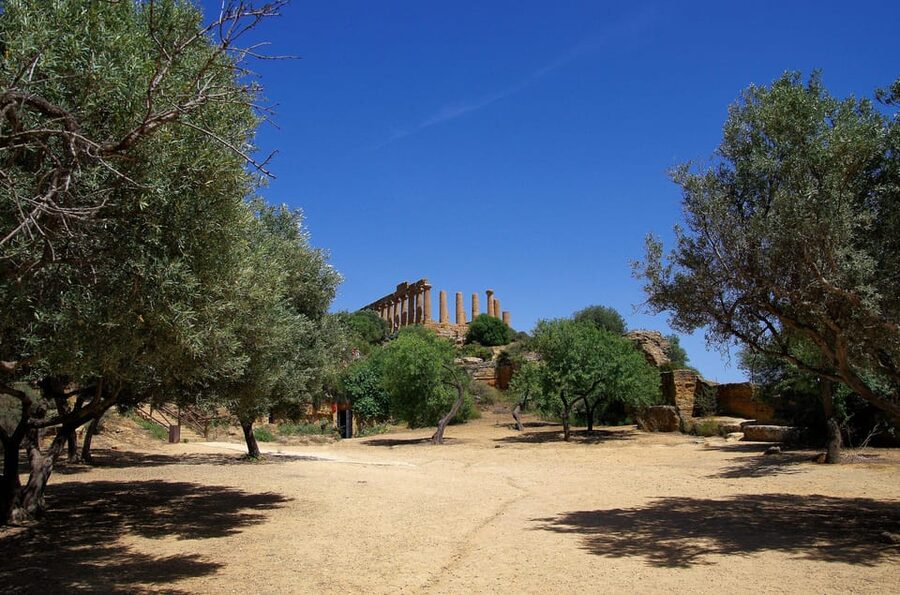 Agrigento: Valley of the Temples Private Archeological Tour - Timing, comfort, and practical details