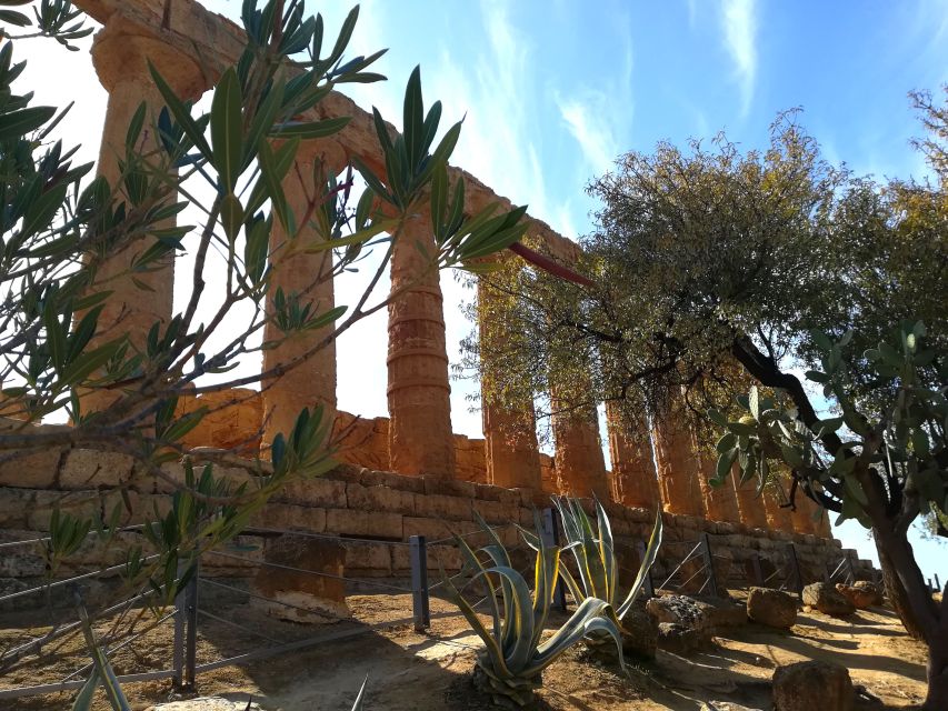 Agrigento: Valley of the Temples Private Tour - Price, tickets, and what the package really includes