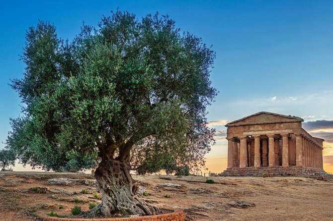 Agrigento; Valley of the Temples, Scala dei Turchi from Palermo, Private Tour - Who should book this private Agrigento tour?