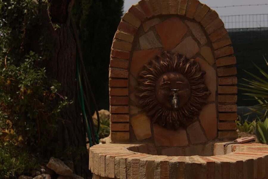 Agrigento: Wine tasting and walk in the vineyards. - What makes this Sicilian wine outing worth your time