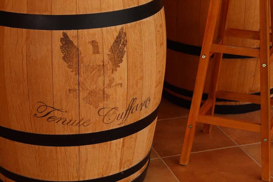 Agrigento: Wine tasting and walk in the vineyards. - From Agrigento to the vineyard in about 30 minutes