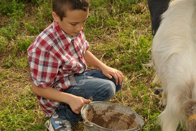 Alcamo Farm Animals and Aromatic Garden - Bread, Honey, Olive Oil, and Sicilian Wine