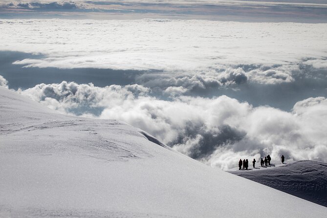 Amazing Etna Morning Tour with Pickup and Drop-Off from Catania - Who should book this experience