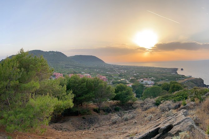 Archaeological excursion to the Rocca della Falconiera in Ustica - Key points to know before booking