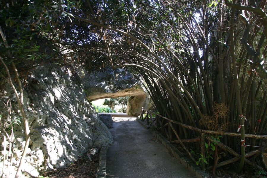 Archaeological Syracuse: Neapolis Park private tour - A compact route through ancient Syracuse