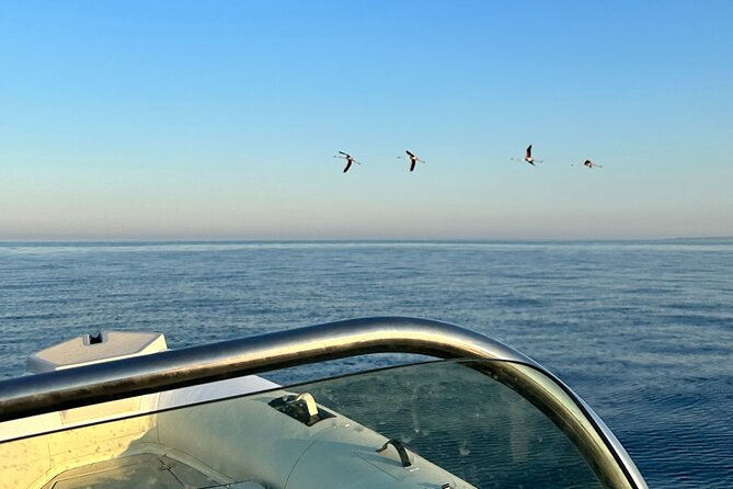 Avola: Vendicari Capopassero Group Boat Tour and Aperitif - A short land visit in Marzamemi