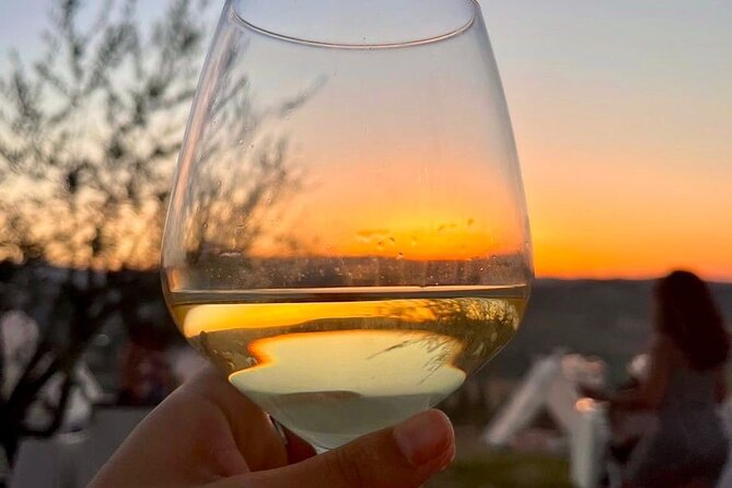 Balestrate Olive Grove Tour: Wine and Olive Oil Tasting - Why the tasting works better after the walk