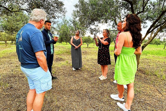 Balestrate Olive Grove Tour: Wine and Olive Oil Tasting - Price, timing, and the meeting point