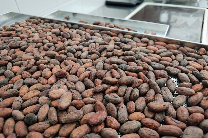 Become a chocolatier for a day, in Modica raw chocolate - From cocoa beans to raw chocolate