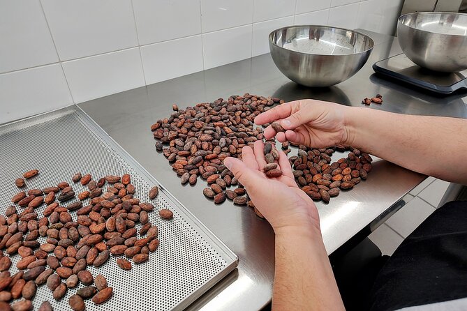 Become a chocolatier for a day, in Modica raw chocolate - Tasting the chocolate before making your bar