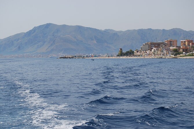 Boat excursion in Palermo - Who should book this experience