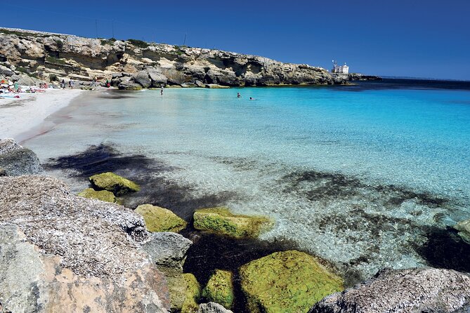 Boat tour Excursion from Trapani to Favignana and Levanzo 8 hours - Levanzo and Cala Dogana