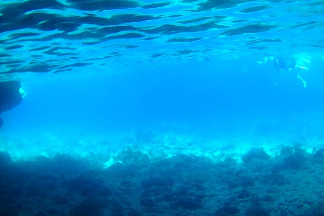 Boat tour Excursion from Trapani to Favignana and Levanzo 8 hours - Cala Azzurra: a gentle first swim