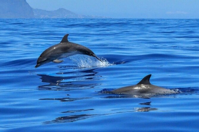 Boat tour Giardini Naxos Taormina Isola Bella Blue Grotto - Prosecco, almond pastries, and the right expectations