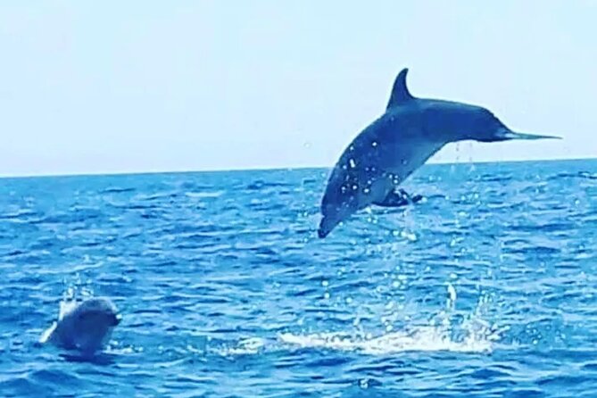 Boat trips with Zorro - Mare Morto, Cala Creta, and Cala Francese