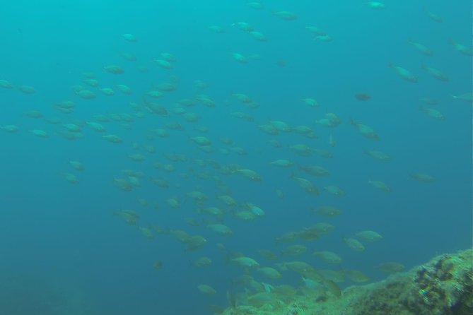 Bubble maker (scuba diving for children) - A First Underwater Experience in Mazzarò Bay