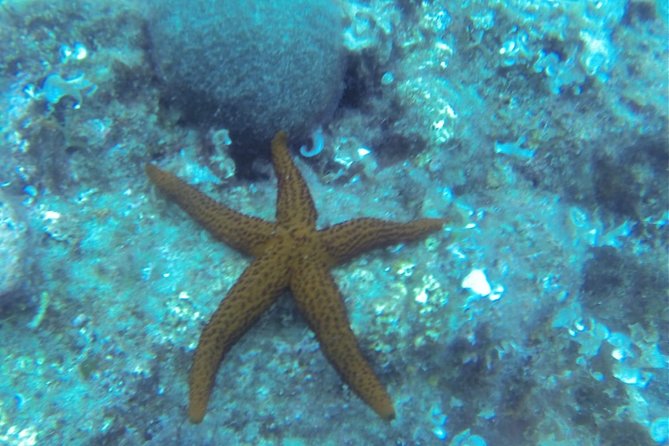 Bubble maker (scuba diving for children) - What the Small Group Changes