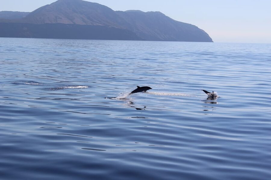 Capo D'Orlando: Salina, Panarea, Stromboli Tour with Boat - The sea ride back to Capo d’Orlando