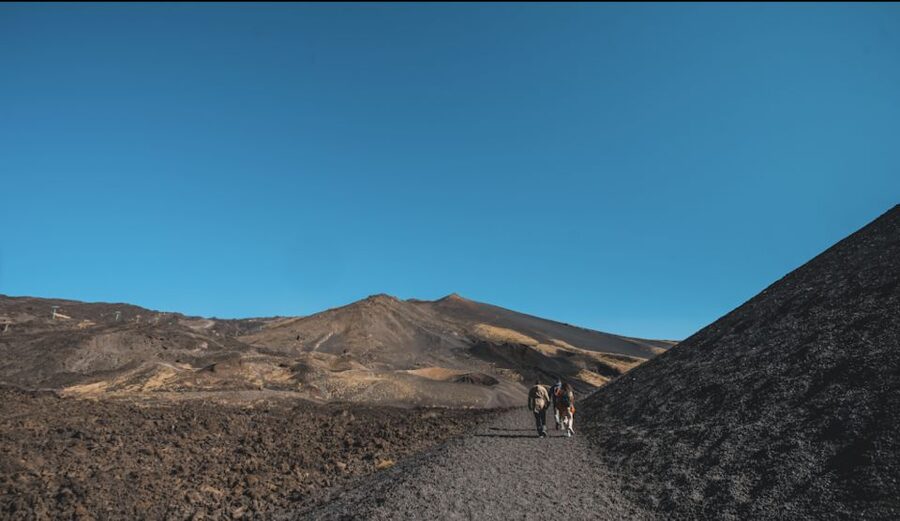 Catania: Etna Morning Excursion with Tasting and Pickup - Key points about this Etna morning tour