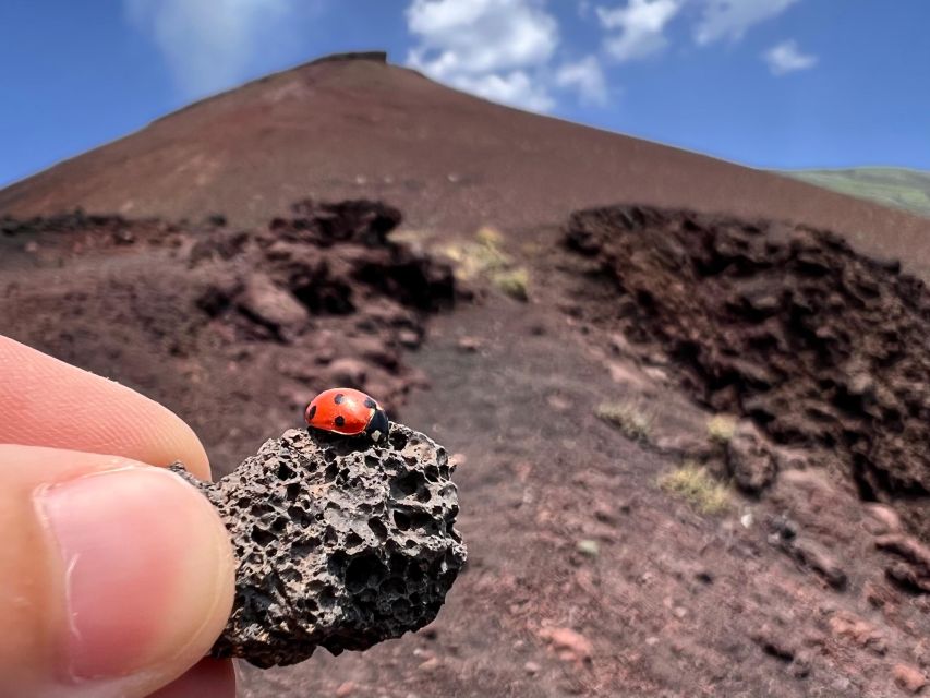 Catania: Etna Morning Excursion with Tasting and Pickup - What to bring for the crater walk