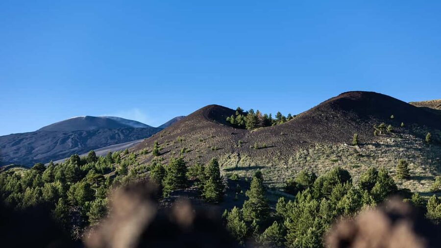 Catania: Etna Nature Tour with Hiking, Cave Visit, & Tasting - Tasting Etna at a local farm
