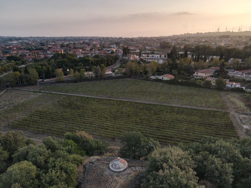 Catania: Etna Urban Winery Sicilian Lunch with Wine Tasting - Who should book this experience?