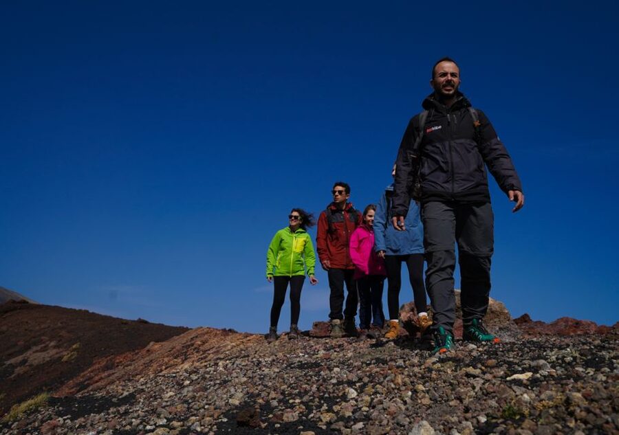 Catania: Guided Tour of Etna with Farm Visit & Food Tasting - What the $81 price really covers