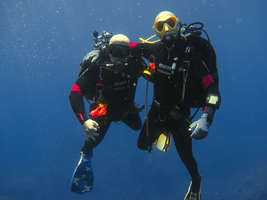 Catania: Gulf Scuba Diving Tour with Marine Biologist - Key points at a glance