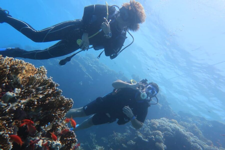 Catania: Gulf Scuba Diving Tour with Marine Biologist - Who should book this experience?